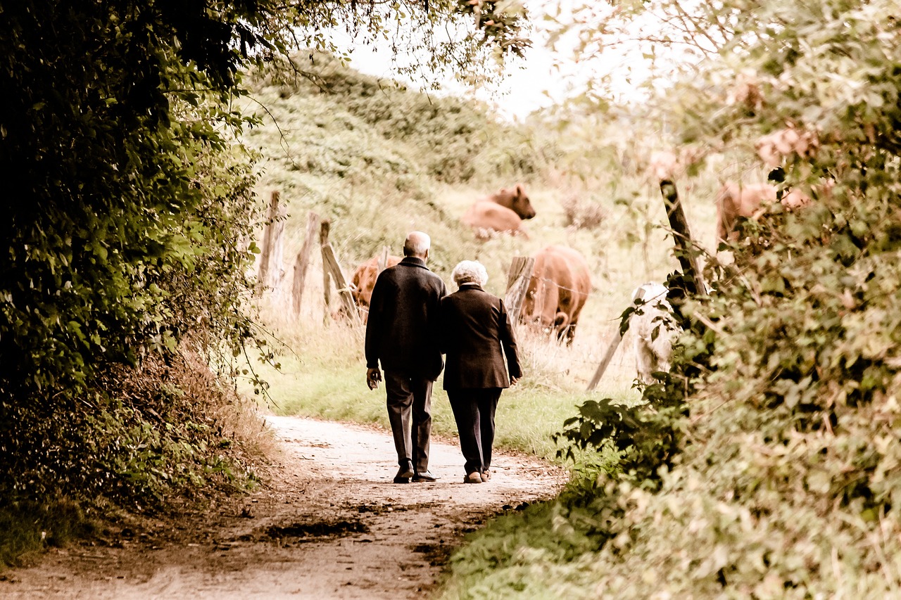 Pareja mayor caminando de espaldas por un sendero de campo